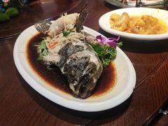 清蒸鲈鱼-东北大院·东北菜(三台子店)
