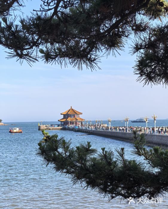 栈桥景区图片