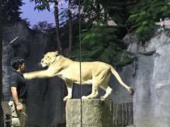 -清迈夜间动物园