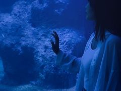 -左海海底世界