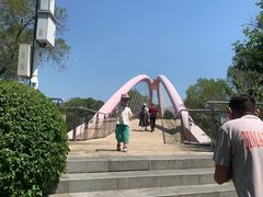 -金鸡山公园