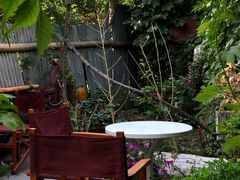 -斯多格书乡(北京大学畅春园店)