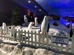 -世界之窗阿尔卑斯冰雪世界