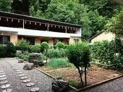 -柞水乾佑红门家菜