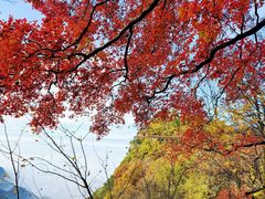 -少华山国家森林公园