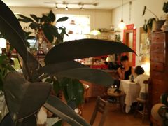 -邮葭