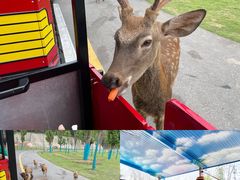 -南京汤山紫清湖生态旅游温泉度假区