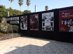 -济州岛泰迪熊博物馆