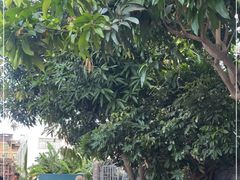 -钱山海鲜大排档