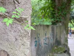 -柯岩风景区