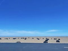 -青海湖国家重点风景名胜区