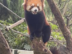 -杭州少年儿童公园