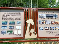 -黄公望隐居地