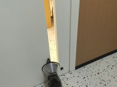 -瑞派康怡24h宠物医院·犬猫医疗中心·微创绝育(瑞景分院)