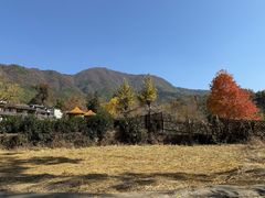 -塔川景区