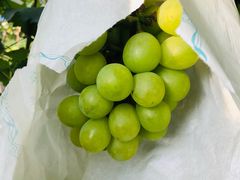 -马陆小张葡萄园农家乐