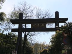 -龙井村