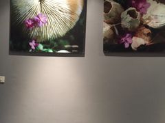 -Let's Relax Spa(Phuket 3rd Street)