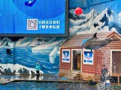 -西安曲江海洋极地公园
