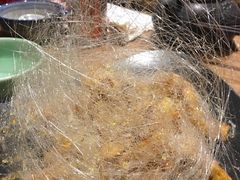 -顺承小院儿