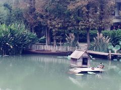 -乌村