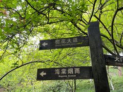 -南山植物园