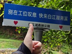 -广州白江湖森林公园