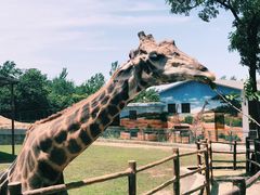 -西安秦岭野生动物园