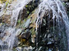 -藏龙百瀑风景区