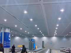 -合肥新桥国际机场-航站楼
