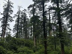 -瓦屋山景区
