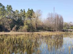-长广溪湿地公园