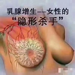 -香薇妮丝女子减肥院