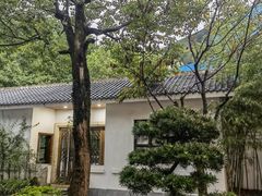 -重庆彩云湖湿地公园