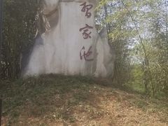 -习家池