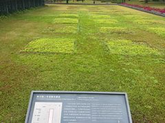 -南越王博物院(王宫展区)