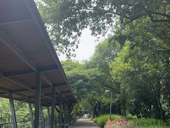 -西湖风景区-江洋畈生态公园
