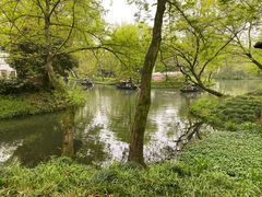 -西溪国家湿地公园