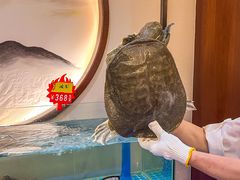 -东湖印象汉寿特色甲鱼钵子菜(渔人码头店)