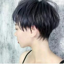 -威拉发艺
