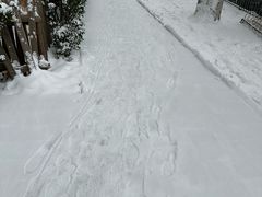 -南门四季铜锅涮肉(大屯·北苑店)