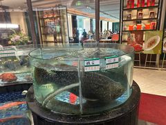 -寻味顺德·顺峰山庄(大良店)