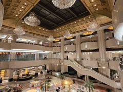 -电谷雅阁国际大酒店