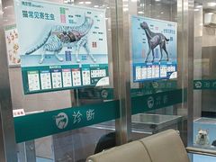 -万博宠物医院·手术·诊疗(未央凤城五路店)