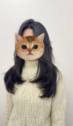 点击看大图 -5M HAIR SALON精品店
