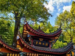 -九华山风景区