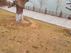 -临汾涝洰河生态公园