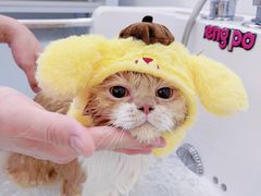 -comecome来吧宠物(奥克斯中心店)