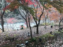 -岚山嵯峨野观光小火车