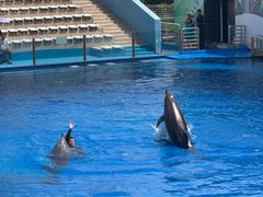 -北戴河圣蓝海洋公园